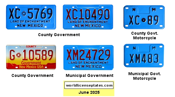 County and Municipal Government License Plates